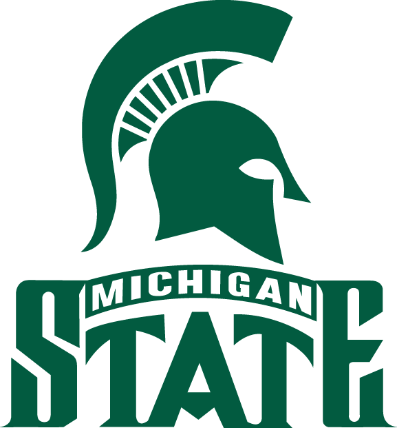 Michigan State Spartans 1987-Pres Alternate Logo diy iron on heat transfer